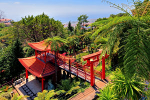 Japanischer Garten mit Baumfarnen im Tropischen Park Monte Palace im Ortsteil Monte oberhalb der Stadt, Funchal, Insel Madeira, Portugal Japanischer Garten mit Baumfarnen im Tropischen Park Monte Palace im Ortsteil Monte oberhalb der Stadt, Funchal, Insel Madeira, Portugal